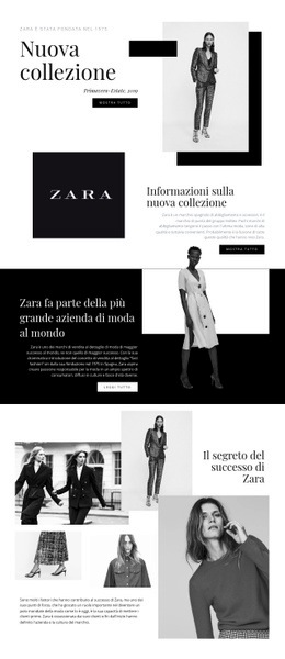Modello Di Progettazione Gratuito Per Collezione Zara