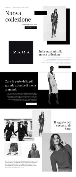 Collezione Zara - Modello Di Una Pagina