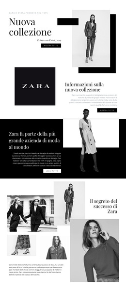 Funzionalità Di Layout Del Tema Per Collezione Zara