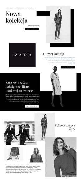 Kolekcja Zara Witryna Jednostronicowa