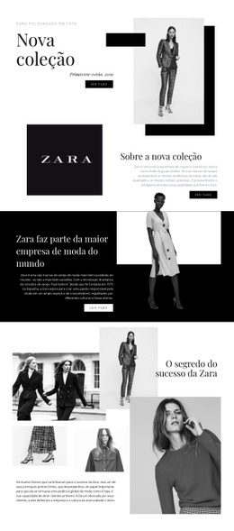 Modelo De Design Gratuito Para Coleção Zara