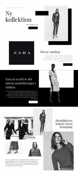 Temalayoutfunktion För Zara Samling