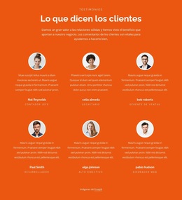 Testimonios De Dos Filas - Tema De Funcionalidad De WordPress