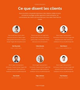 Témoignages À Deux Rangées - HTML5 Website Builder