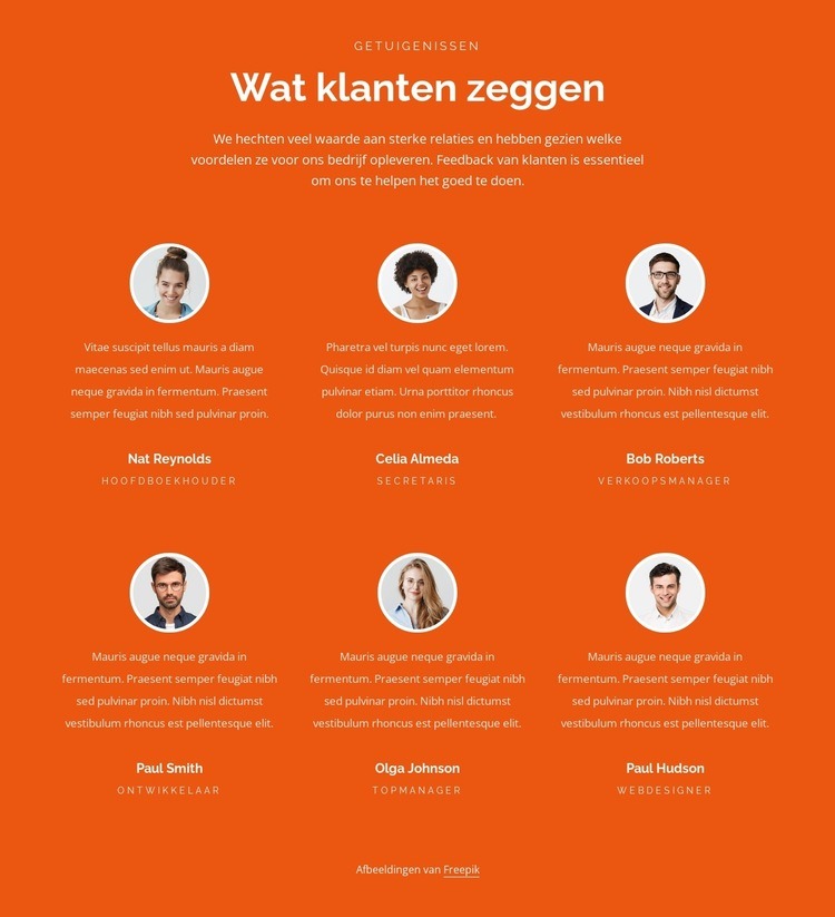 Twee rijen getuigenissen Website mockup