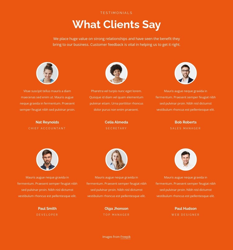 Two rows testimonilas Website Mockup