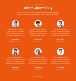 Two Rows Testimonilas - Functionality WordPress Theme