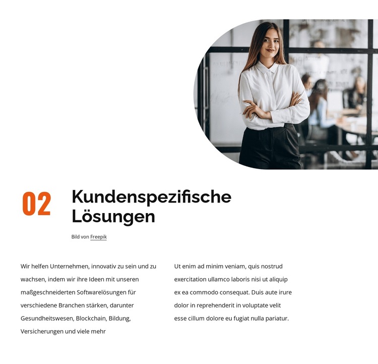 Kundenspezifische Lösungen Website-Vorlage