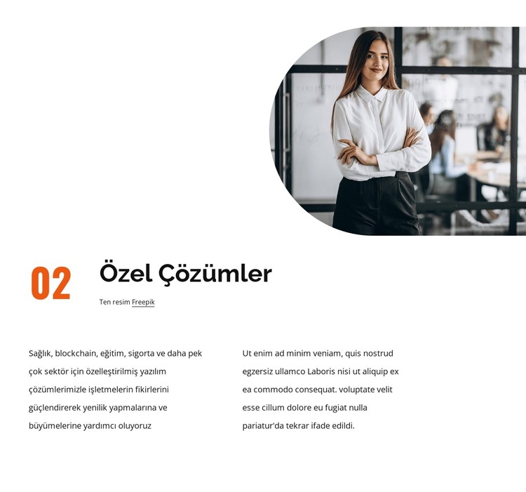 Özel çözümler CSS Şablonu