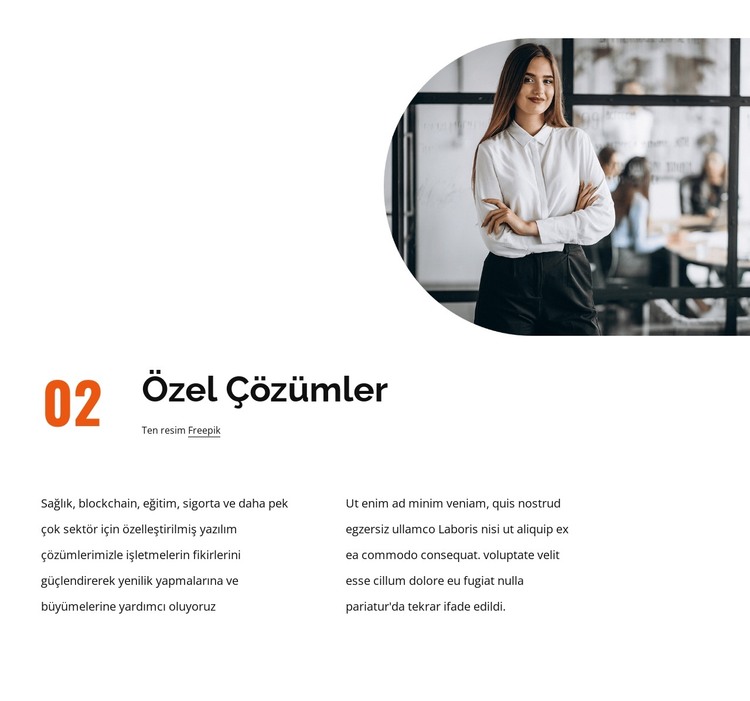 Özel çözümler HTML Şablonu