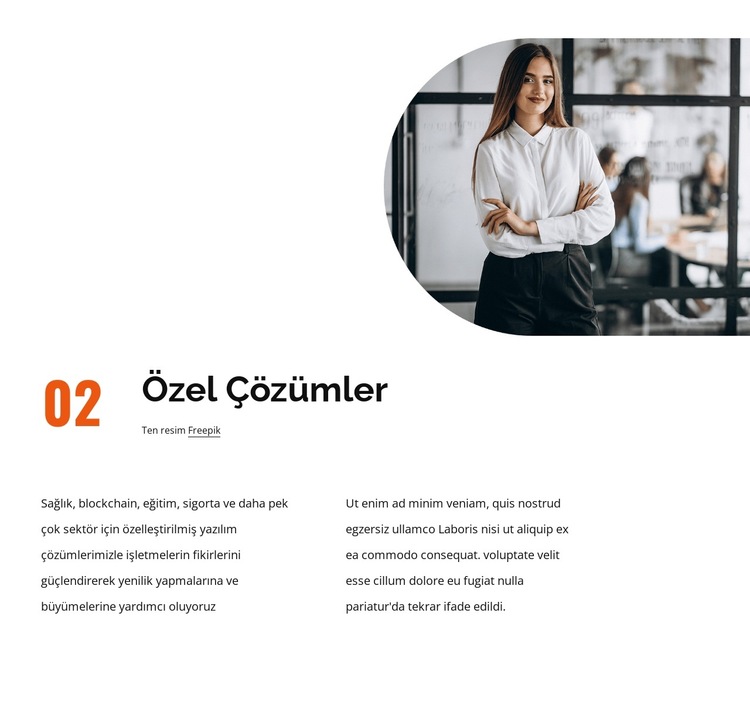 Özel çözümler Web Sitesi Şablonu
