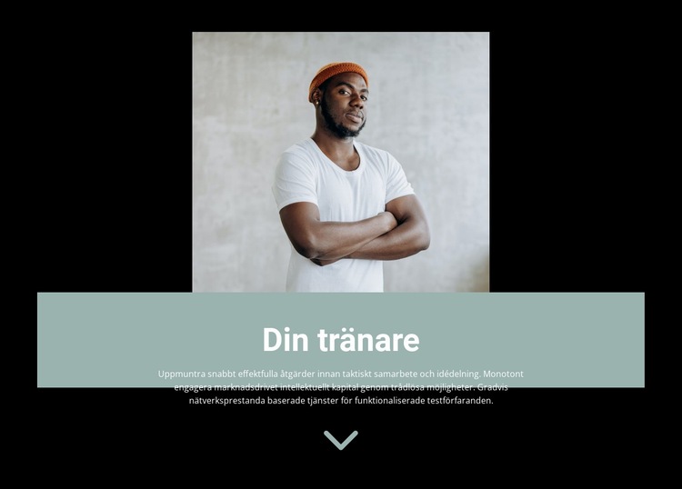 Hur man väljer en tränare WordPress -tema