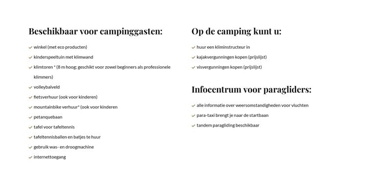 Lijsten in twee kolommen Website mockup