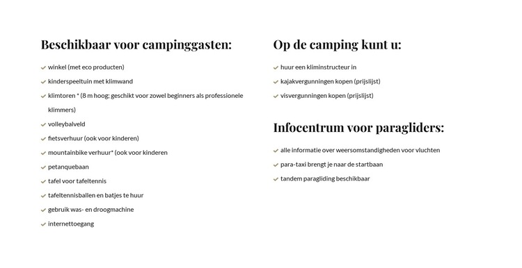 Lijsten in twee kolommen Website sjabloon