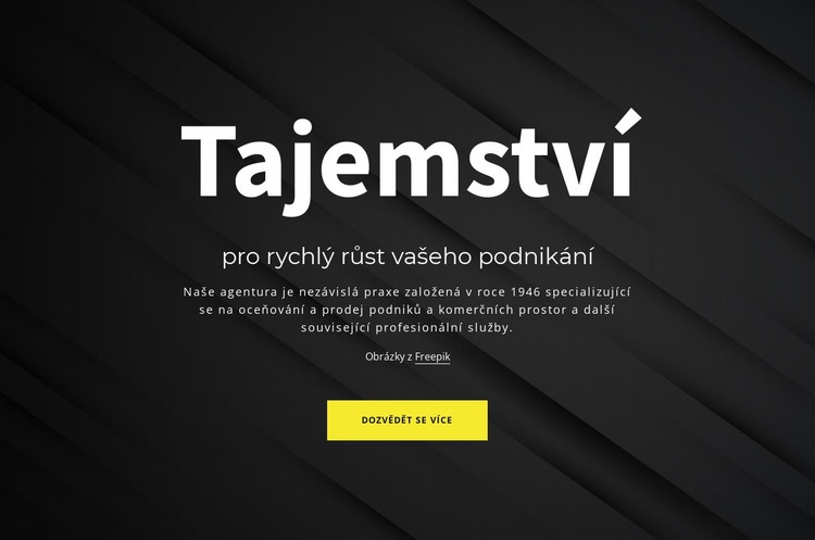 Tajemství růstu vašeho podnikání Šablona CSS