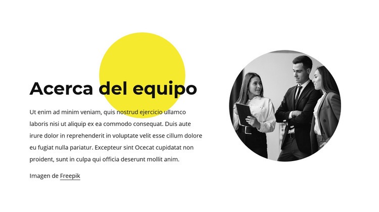 Acerca de nuestro equipo Diseño de páginas web