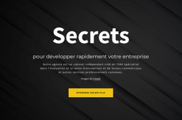 Les Secrets De La Croissance De Votre Entreprise - Modèle De Maquette De Site Web