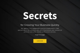 Secrets Of Growing Your Business - Best Homepage Design