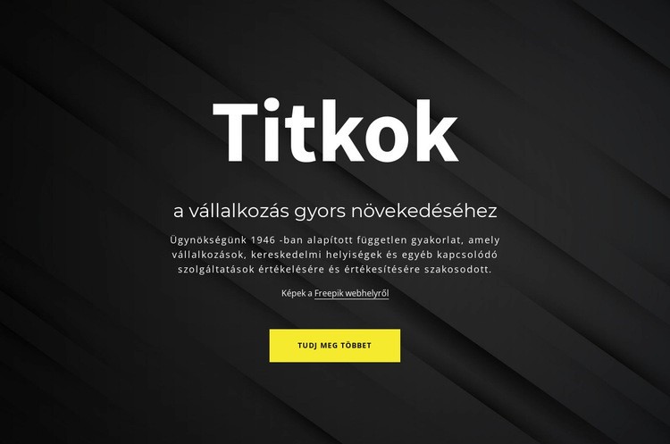 Az üzleti növekedés titkai CSS sablon