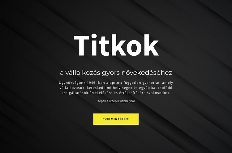 Az üzleti növekedés titkai WordPress Téma