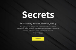 Secrets Of Growing Your Business - Online Templates