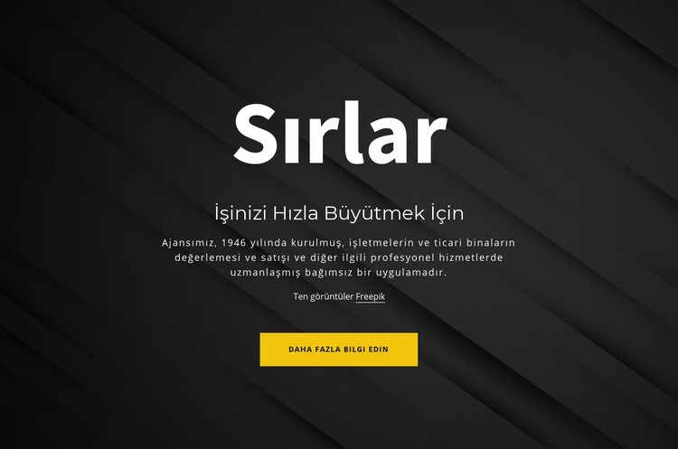 İşletmenizi büyütmenin sırları CSS Şablonu