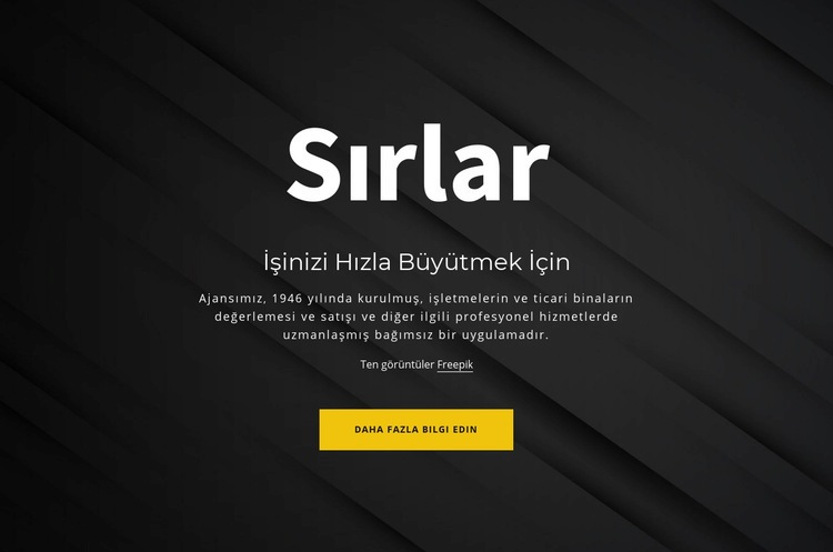 İşletmenizi büyütmenin sırları Web Sitesi Oluşturucu Şablonları