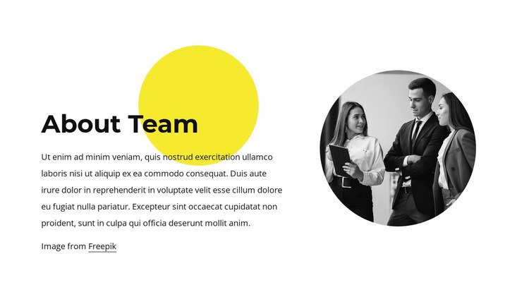 About our team Website Mockup