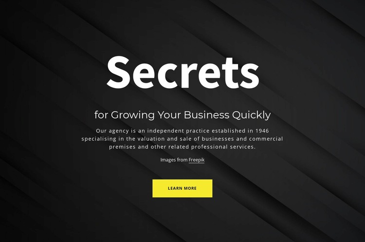 Secrets of growing your business Wix Template Alternative