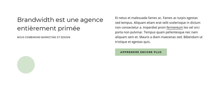 Agence primée Modèles de constructeur de sites Web