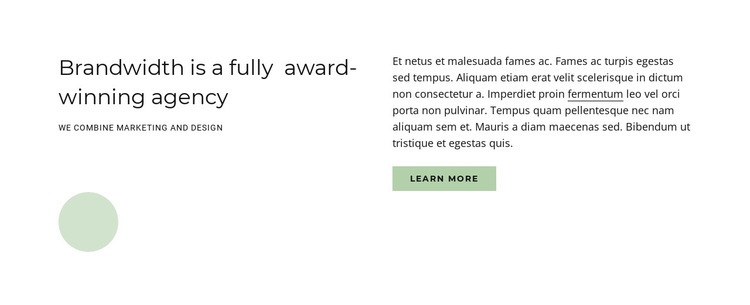 Award winning agency Homepage Design