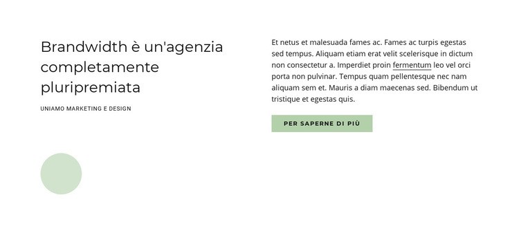 Agenzia premiata Mockup del sito web