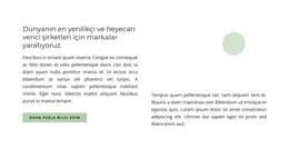 Markalar Yaratıyoruz - Özelleştirilebilir Profesyonel WordPress Teması