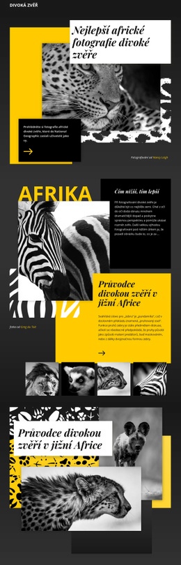 Fotografie Divoké Zvěře #Website-Templates-Cs-Seo-One-Item-Suffix
