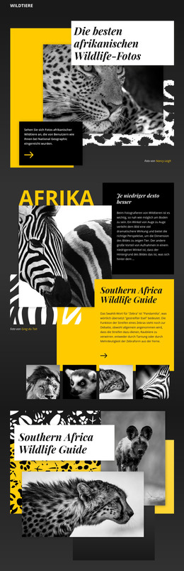 Tierfotos – Webvorlage
