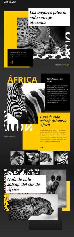 Fotos De Vida Silvestre - Online HTML Page Builder