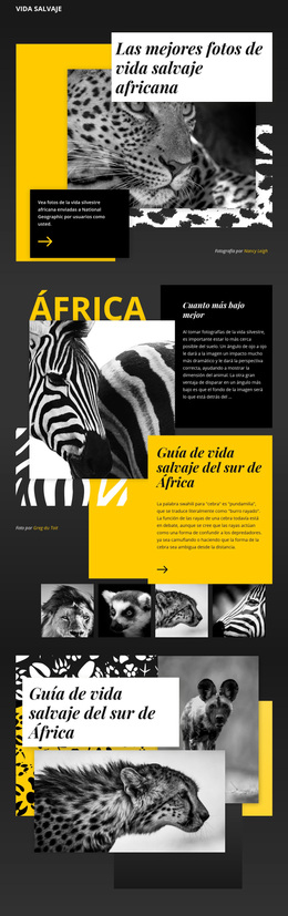 Fotos De Vida Silvestre - Tema Gratuito De WordPress