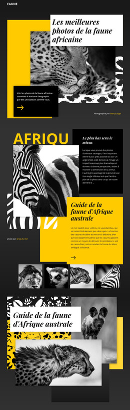 Photographie Photos - Modèle Web