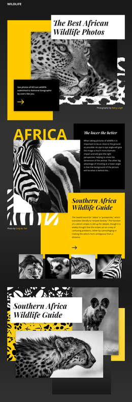 Wildlife Photos - Web Template
