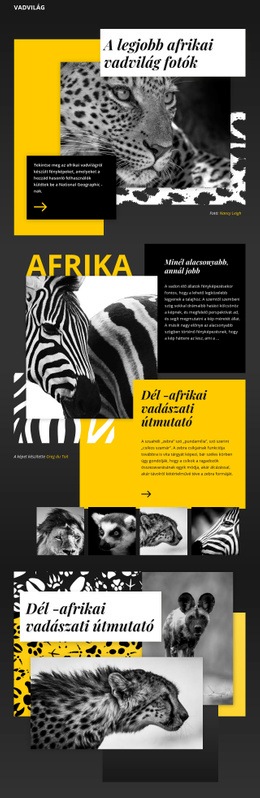 Vadon Élő Állatok Fényképei - Többcélú Webdesign