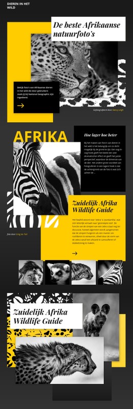 CSS-Indeling Voor Foto'S Van Dieren In Het Wild