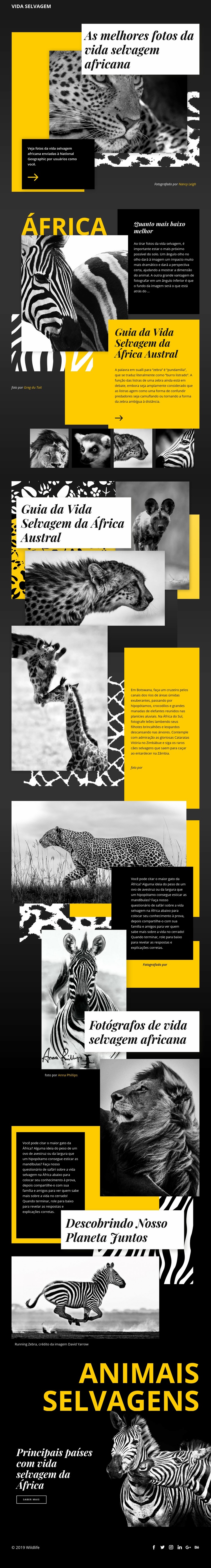 Fotos de animais selvagens Design do site