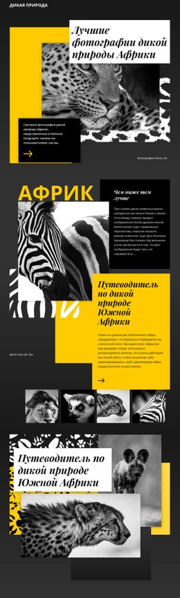 Фотографии Дикой Природы — Шаблон Бизнес-Сайта Премиум-Класса