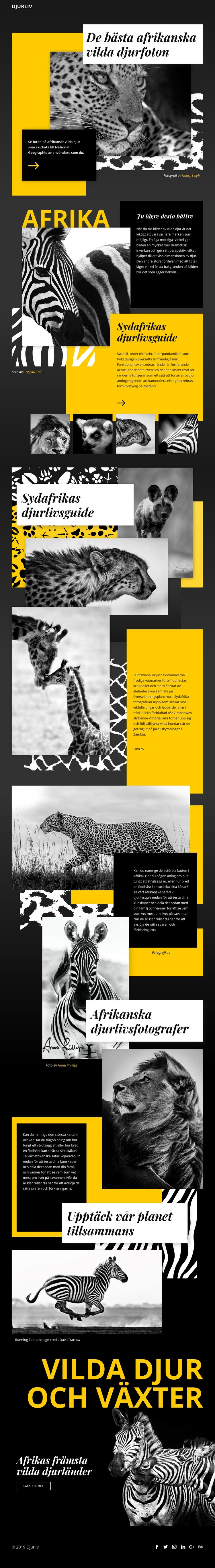 Vilda djur foton HTML-mall