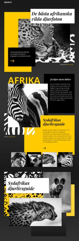 Vilda Djur Foton - Webbplatsmallar