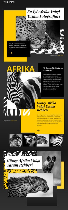 Vahşi Yaşam Fotoğrafları - Web Sitesi Şablonları