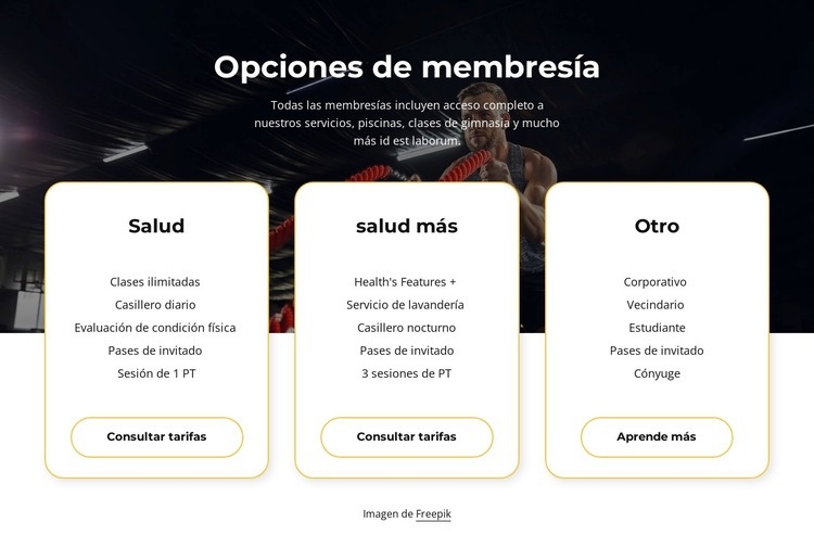 Opciones de membresía Maqueta de sitio web