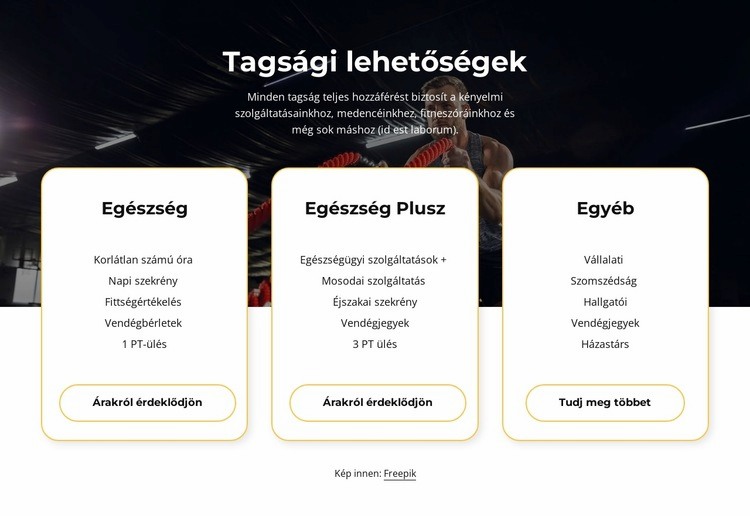 Tagsági lehetőségek HTML Sablon