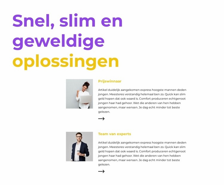 Experts zeggen Website mockup