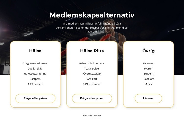 Alternativ för medlemskap CSS -mall